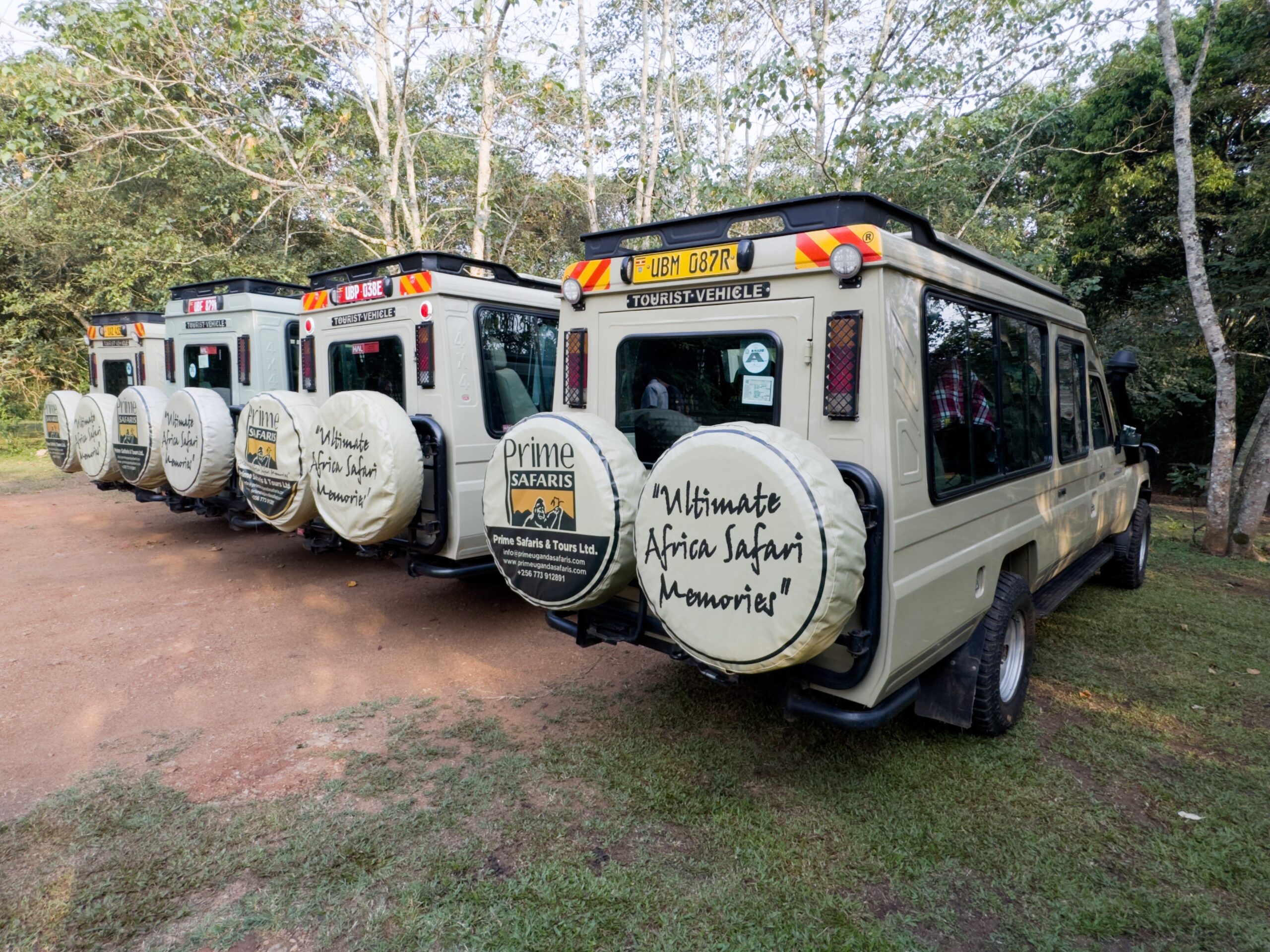 Tanzania Safari Operators