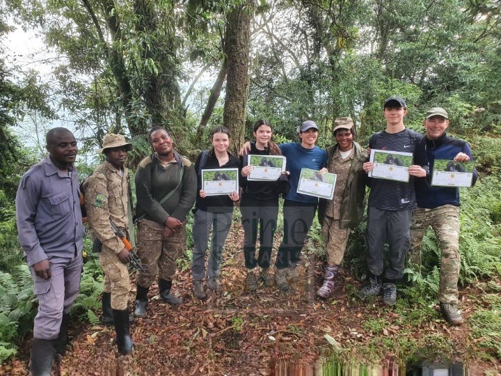  Best Gorilla Trekking Companies in Uganda Rwanda and Congo